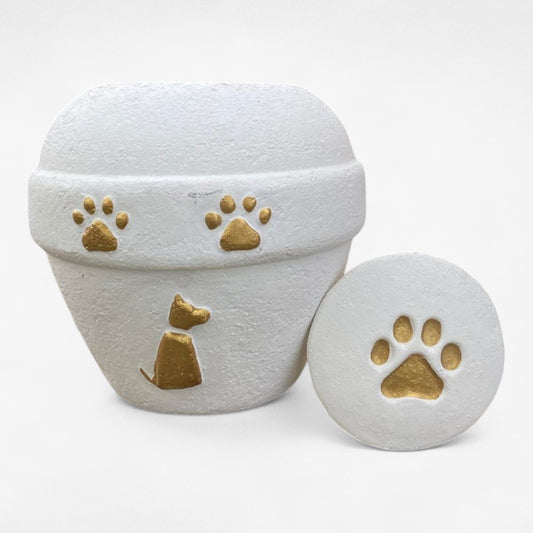 Urna biodegradable Blanco