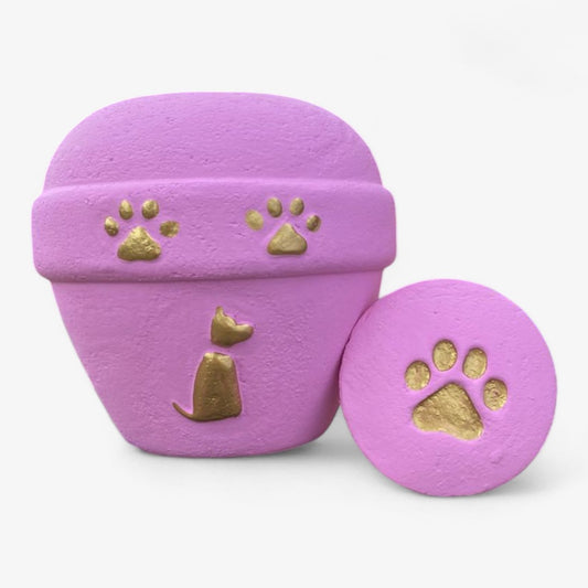 Urna biodegradable Rosa