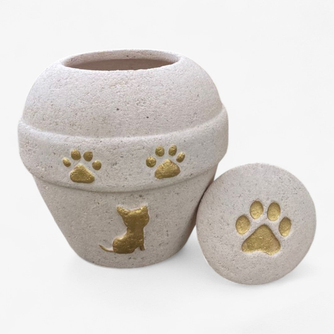 Urna biodegradable Crudo