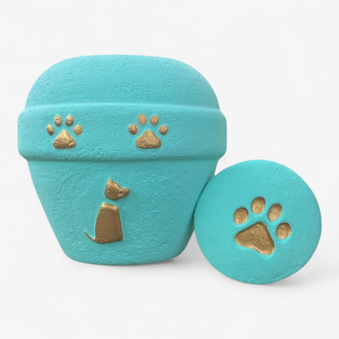 Urna biodegradable Menta