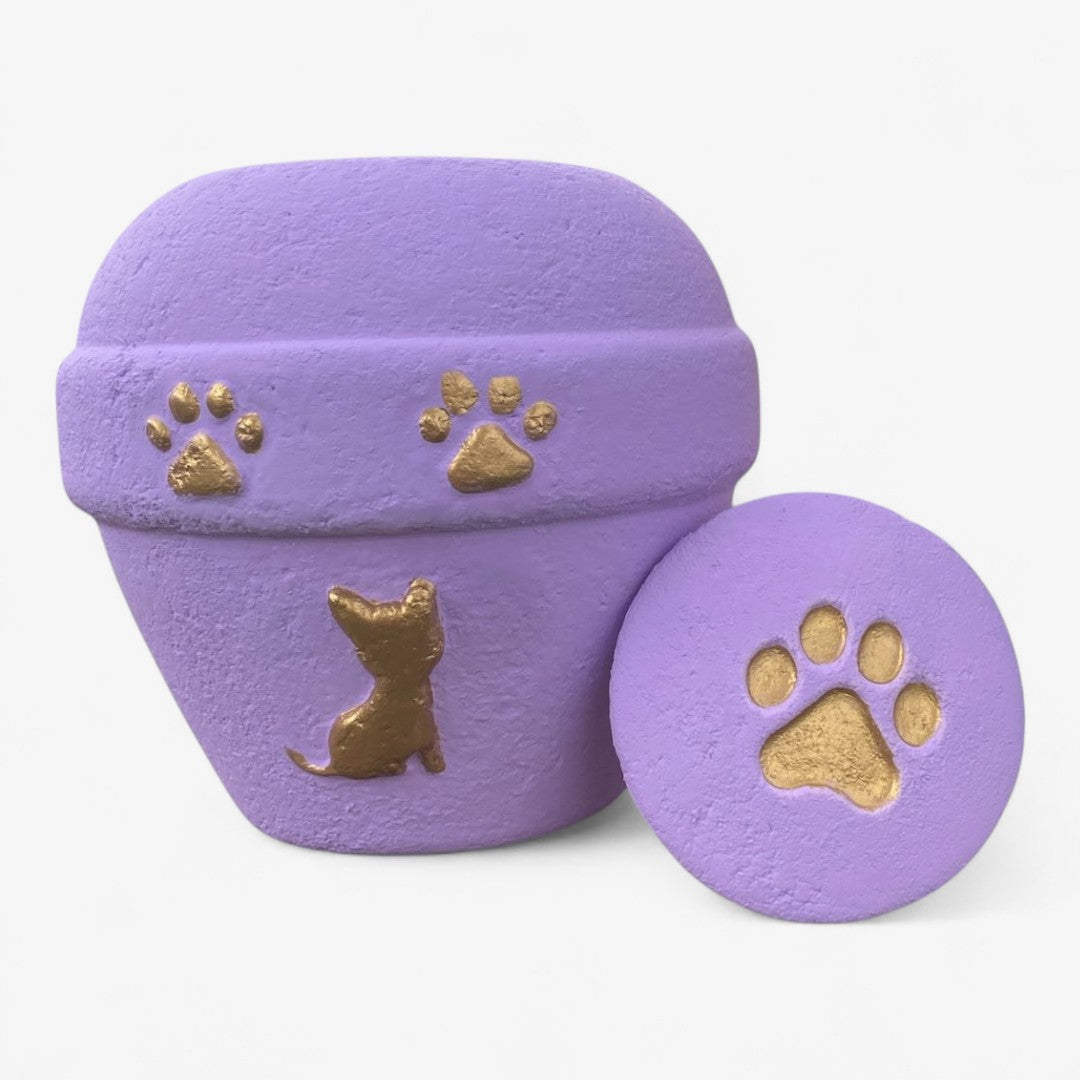 Urna biodegradable Morado