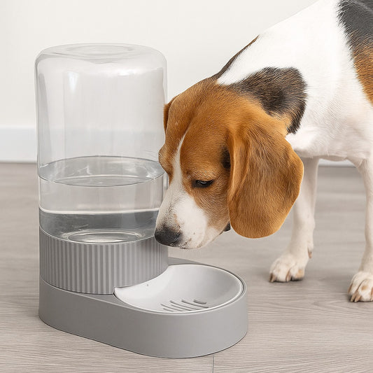 Bebedero para mascotas